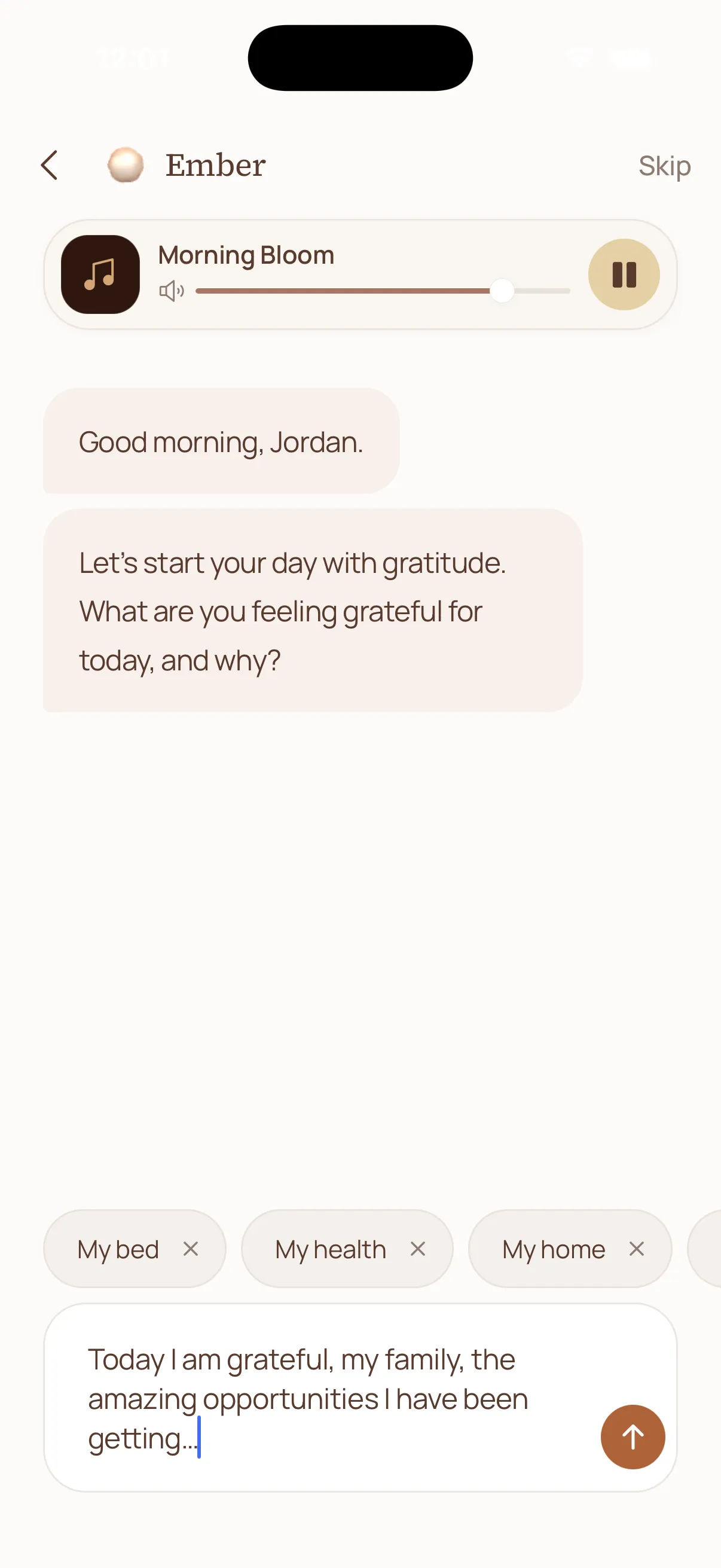 Ember, your guide to a more intentional morning, asks what you're grateful for while Morning Bloom plays.